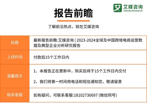 2023-2024年全球及中國跨境電商運營數據與典型企業分析報告